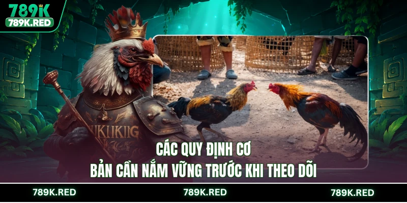 Các quy định cơ bản cần nắm vững trước khi theo dõi