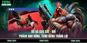 Đá Gà Cựa Sắt - Khí Phách Anh Hùng, Tưng Bừng Thắng Lợi