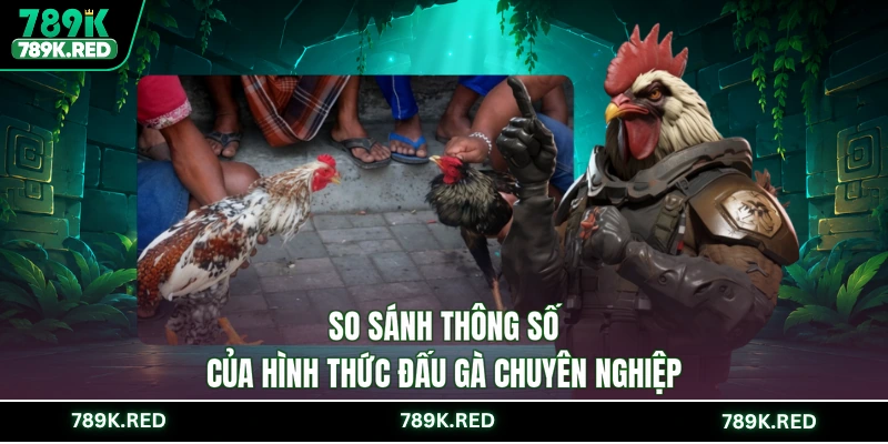 So sánh thông số của hình thức đấu gà chuyên nghiệp