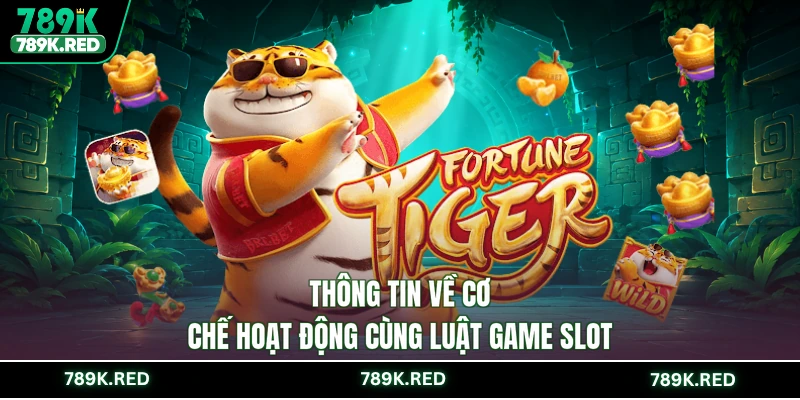 Thông tin về cơ chế hoạt động cùng luật game slot